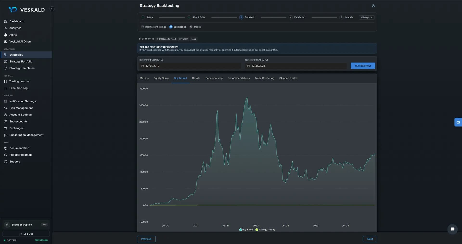 Veskald strategy backtester results with historical performance metrics and charts — view 4 of 15