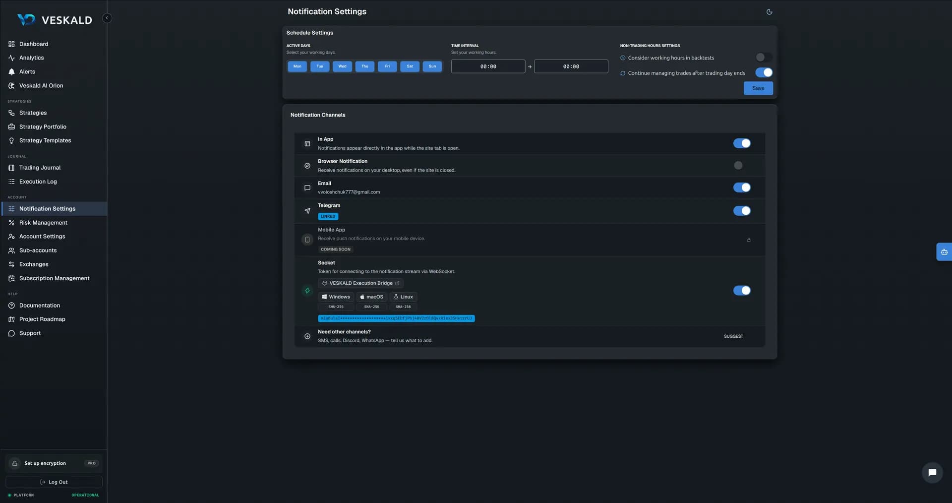 Veskald platform — strategy builder, backtest, portfolio, journal, risk management — view 10 of 13